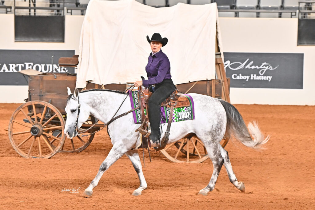 Cowboy in purple shirt and black hat rides gray horse hitched to wooden cart at rodeo arena during Western event