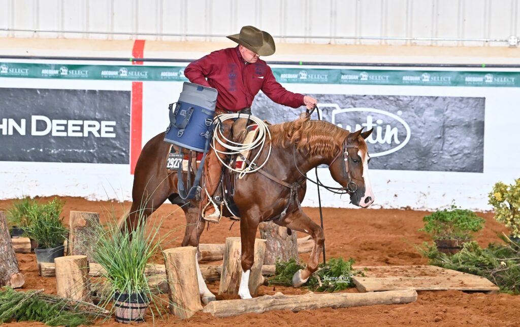 Cowboy on brown horse carrying coiled rope navigates wooden obstacle course during ranch sorting competition