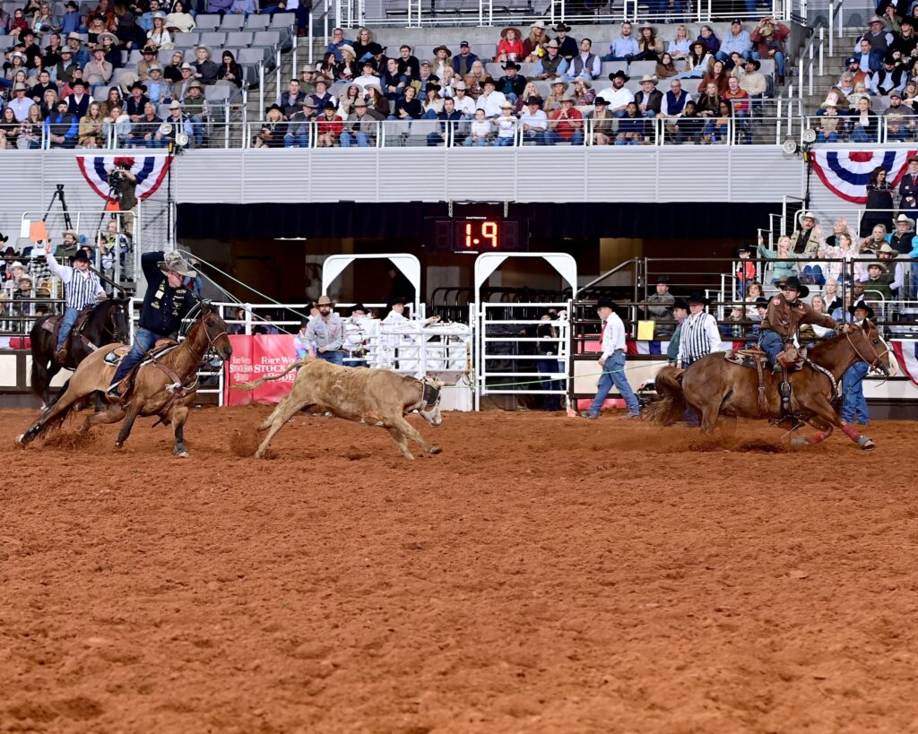 Steer roping competitor on horseback pursues a steer across the arena dirt at a rodeo with grandstands full of spectators