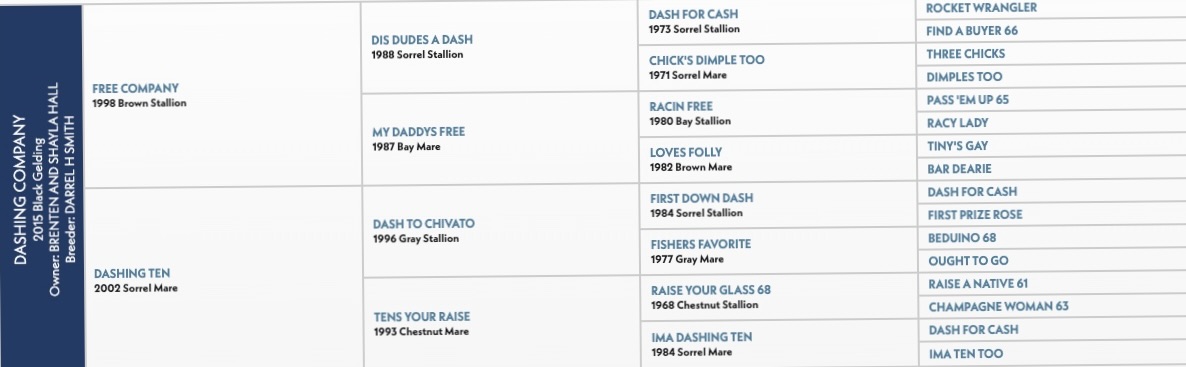 Dashing Company pedigree chart showing bloodline descendants across four generations, listing horse names and years from 1968 to 2002