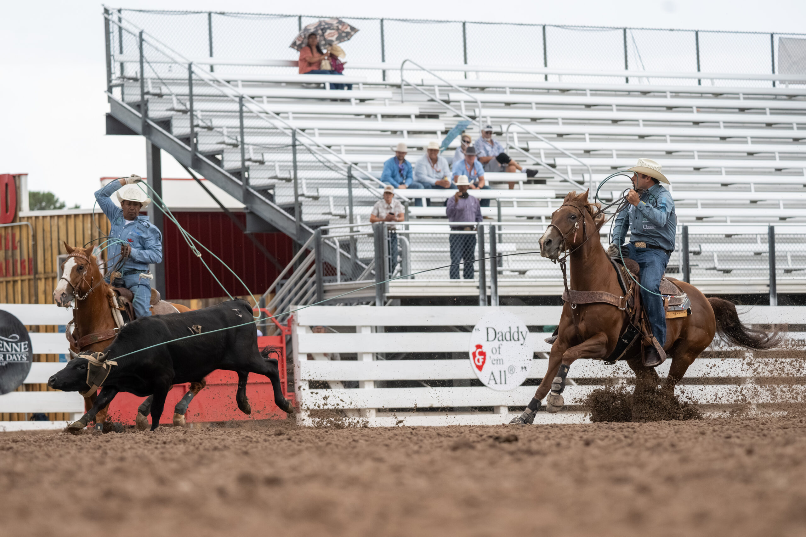 Cowboy on horseback ropes steer during rodeo competition while spectators watch from bleachers