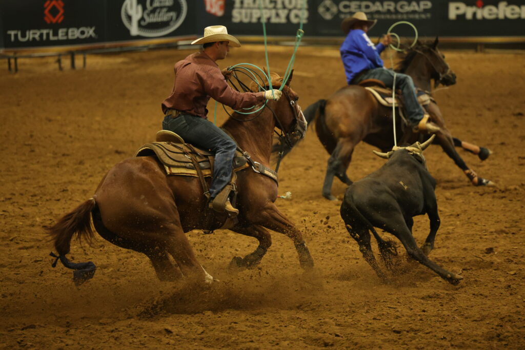 Cowboy on horseback swings a lasso while chasing a steer during a rodeo roping event, with dust rising from the arena floor