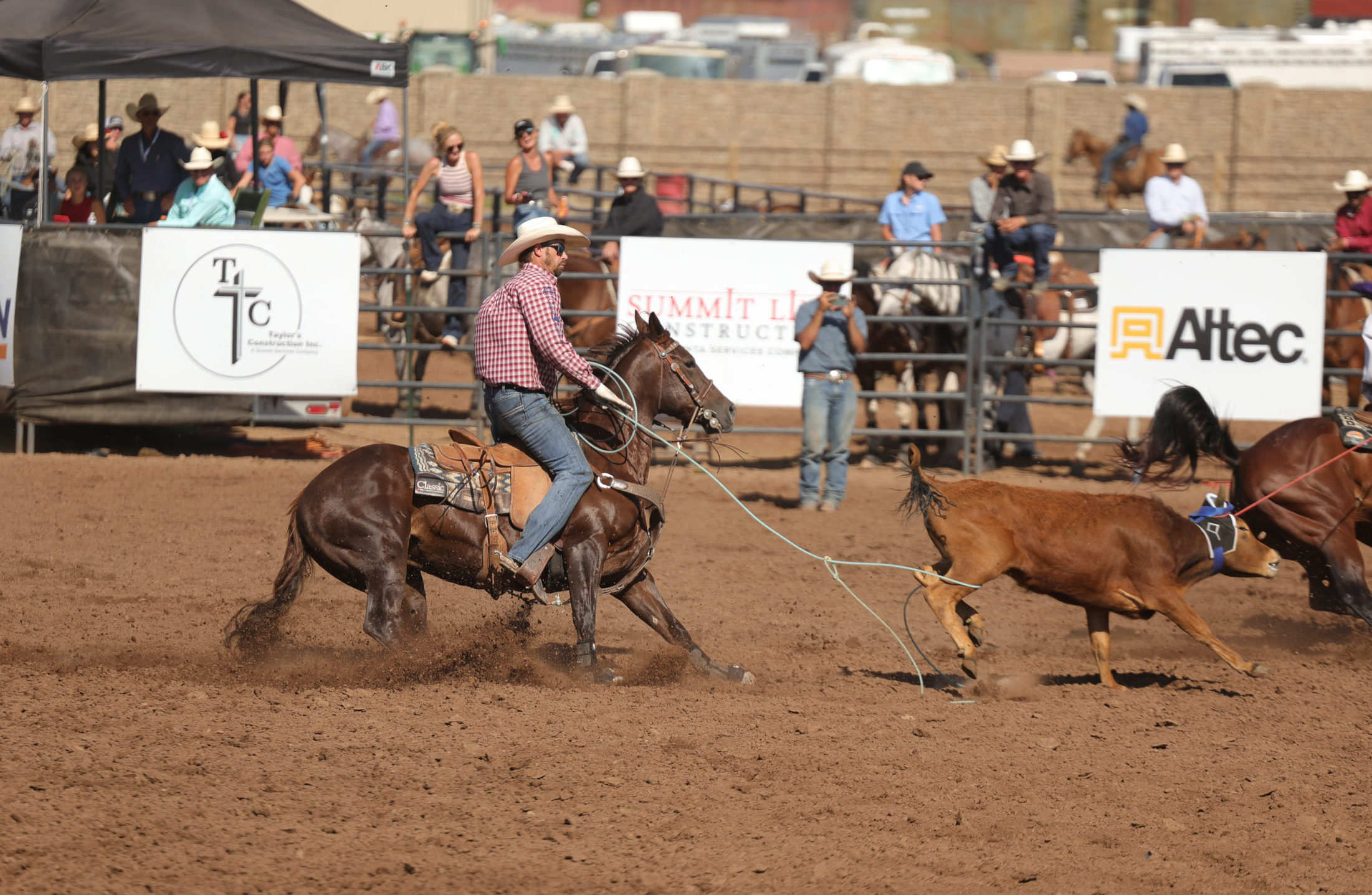 Jeremy Buhler heels a black steer on SLR Swinging Hickory at the 2025 Old West Futurity in Heber City, Utah.