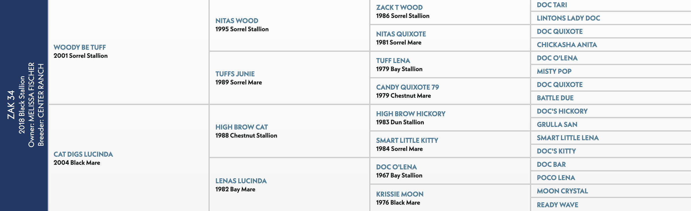 Pedigree chart for ZAK 34, a 2018 Blk Stallion owned by Blk-Salon and sired by Beader Center Ranch, showing four generations of ancestors including sires and dams