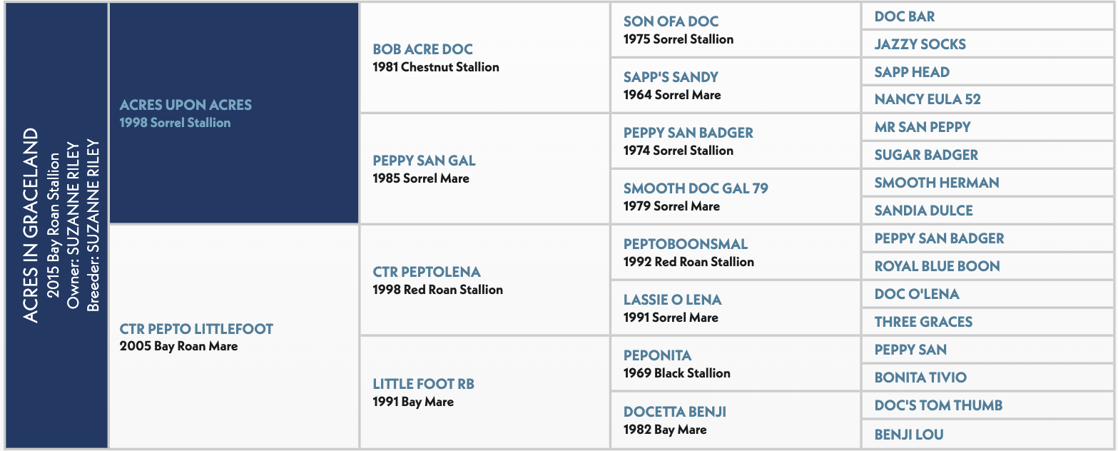Acres in Graceland 2015 Bay Roan Stallion pedigree chart showing ancestry including Acres Upon Acres, Ctr Pepto Littlefoot, and multiple generations of registered Quarter Horses