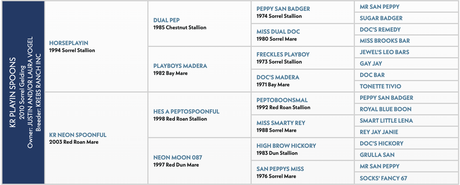 KR Plainspoonsvogel pedigree chart showing horse bloodlines from 2020 Sorrel Gelding, listing sire and dam information across multiple generations