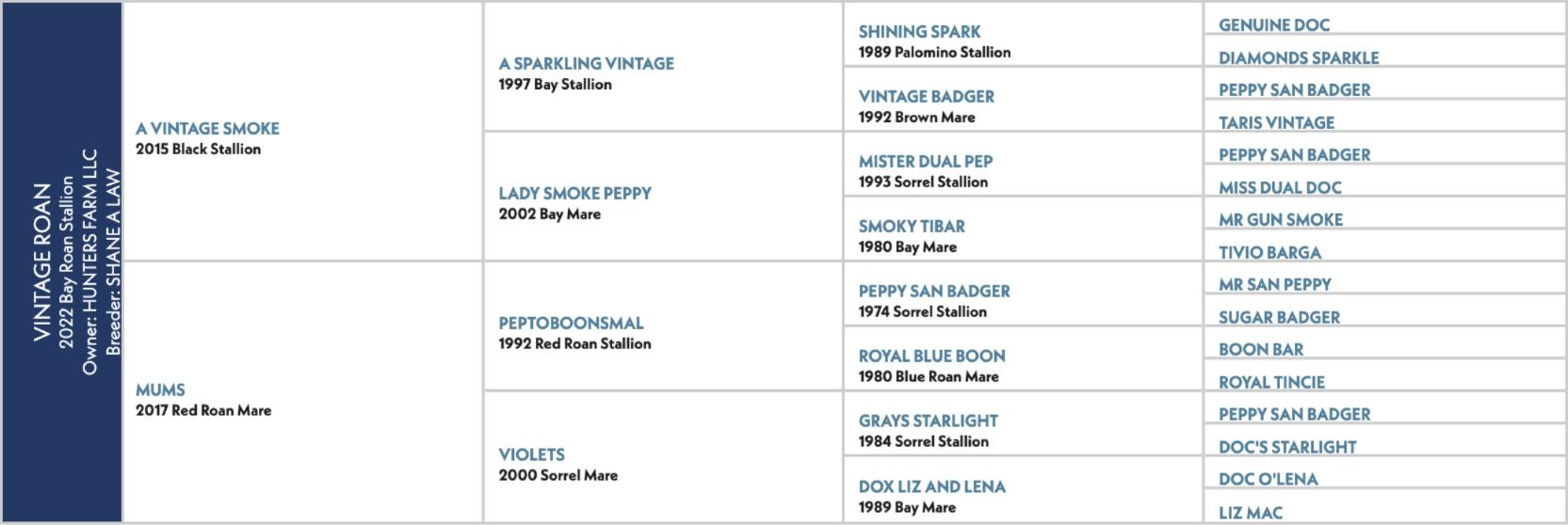 Pedigree chart for Vintage Roan, a 2022 bay roan by A Vintage Smoke out of Mums.