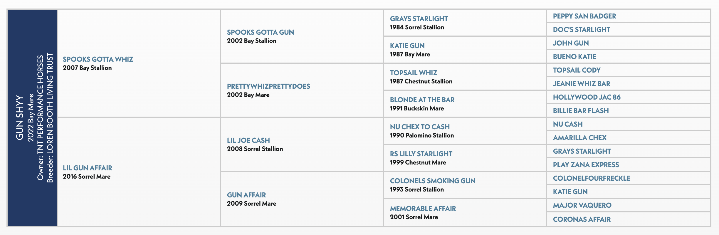 Gun Shy horse pedigree chart showing the 2007 Bay Stallion's lineage across multiple generations with sire and dam information
