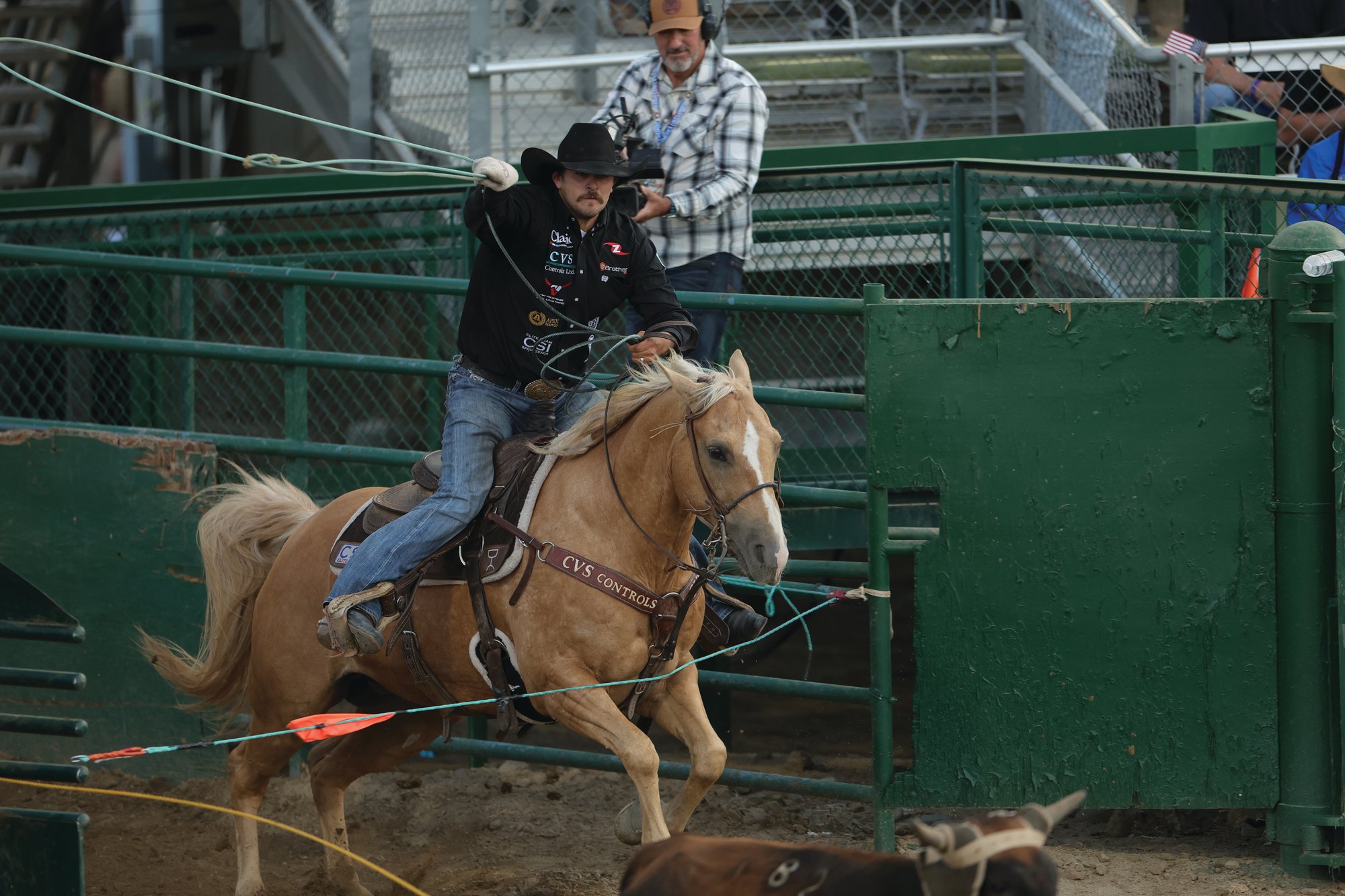 Dawson Graham heading on Outlaw at the Reno Rodeo
