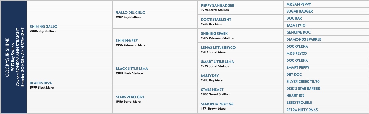 Pedigree chart for Cocky's Shine horse bloodline, showing ancestors from 1968 to 2005 across multiple generations