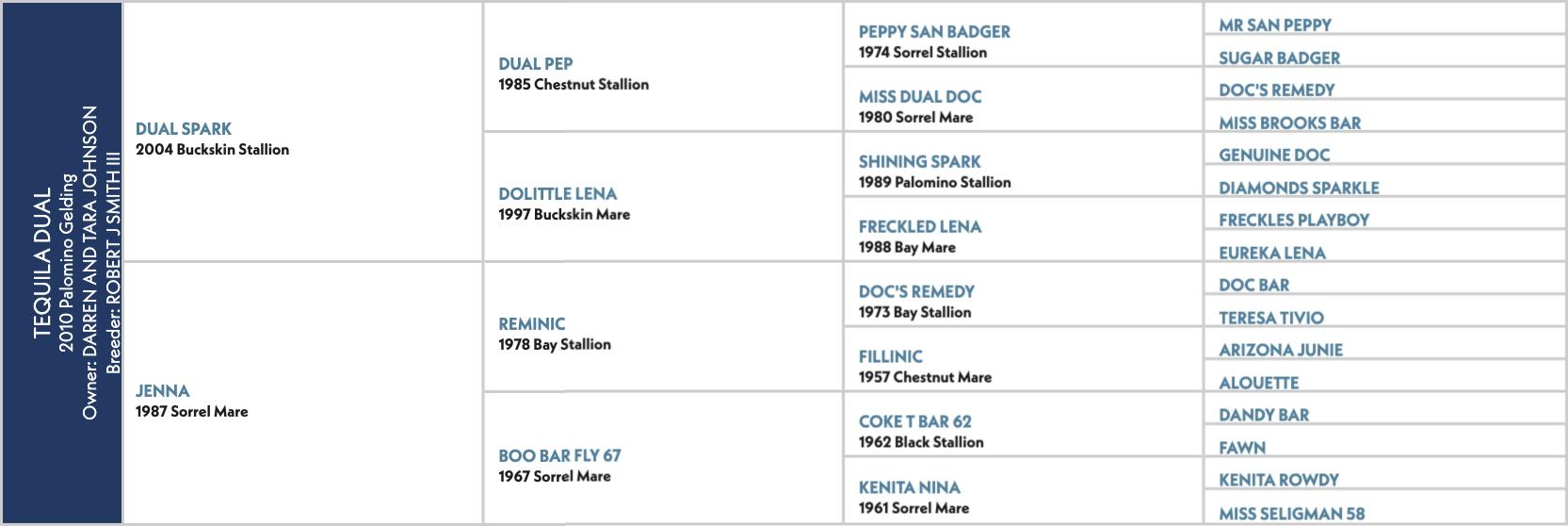Equudual pedigree chart showing ancestral lines for a 2004 Buckskin Stallion, with horse names and birth years listed across multiple generations