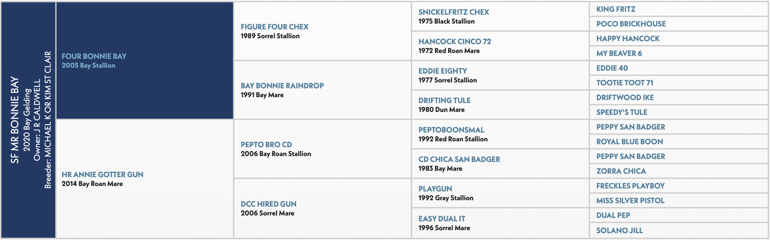 Pedigree chart showing SF Bonnie Bay's 2020 Bay Gelding bloodline, listing ancestors across multiple generations including Four Bonnie Bay, Figure Four Chex, and various other named horses