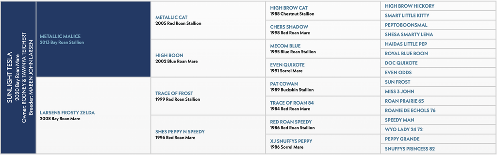 Pedigree chart showing Sunlight's Sea ancestry, listing stallions and mares with their birth years and colors across multiple generations