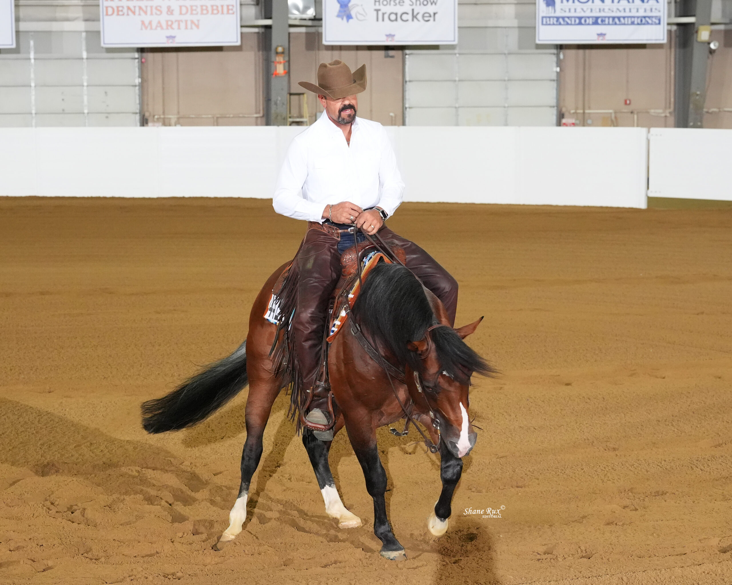 Rider in white shirt and brown chaps on bay horse with black mane performs in indoor arena at horse show