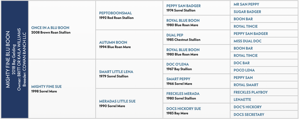 Pedigree chart for Mighty Fine Boon showing four generations of ancestry with horse names and birth years, organized in columns from left to right