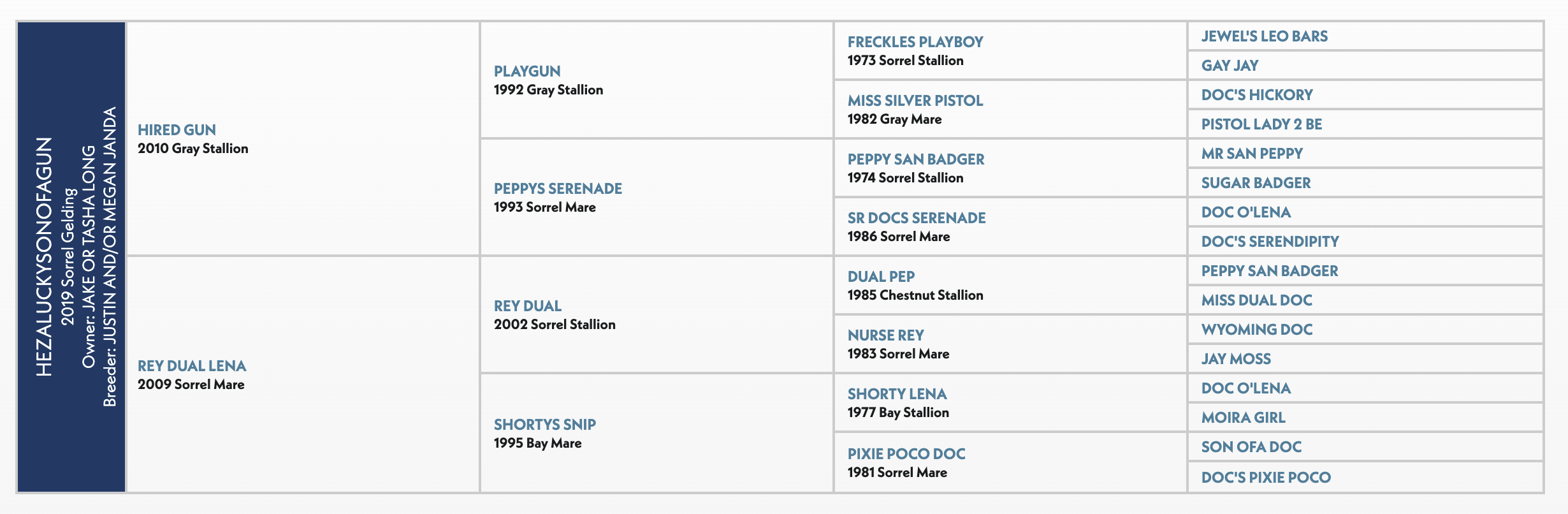 Hazluckson Gun pedigree chart showing the 2009 sorrel mare's ancestry across four generations, listing sire and dam information for each ancestor