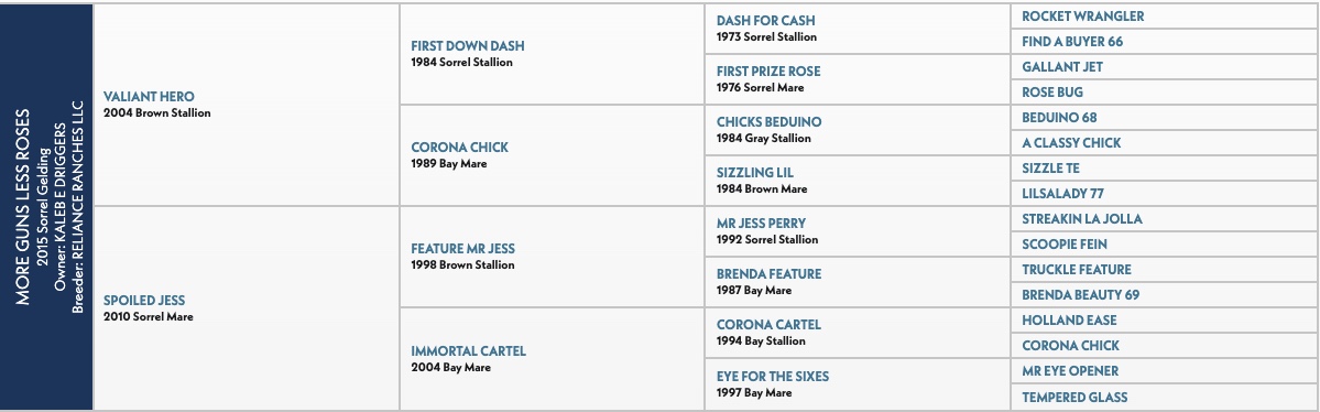 Table listing horse breeding records organized by sire, dam, and offspring across three columns: "More Wins Less Loss," "Dash for Cash," and "Rocket Wrangler"