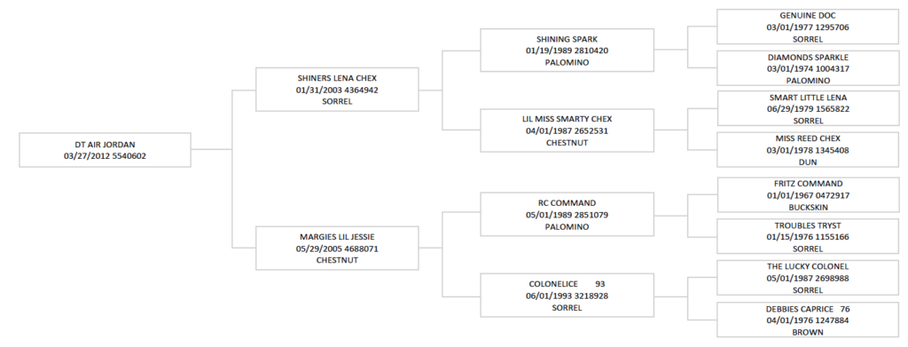 Equine pedigree chart showing DT Air Jordan as the root ancestor, with multiple generations of offspring and their registration numbers, breeds, and dates branching downward