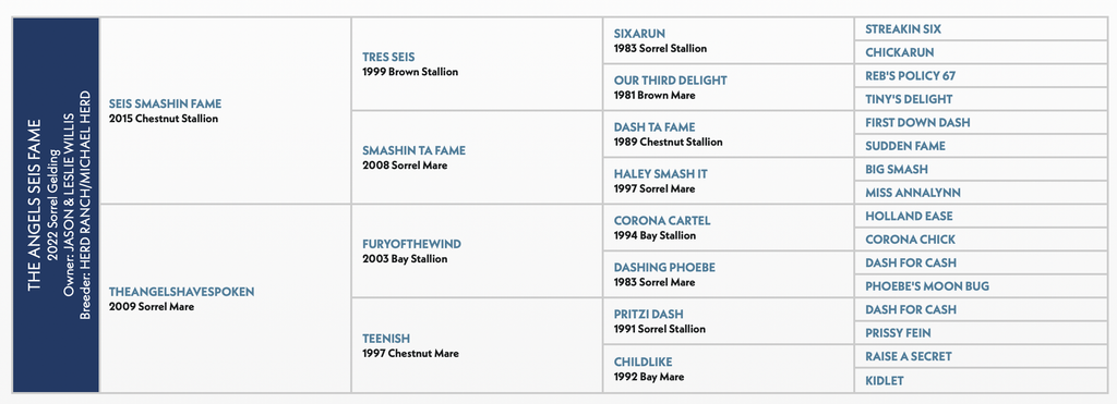 the angels seis fame pedigree