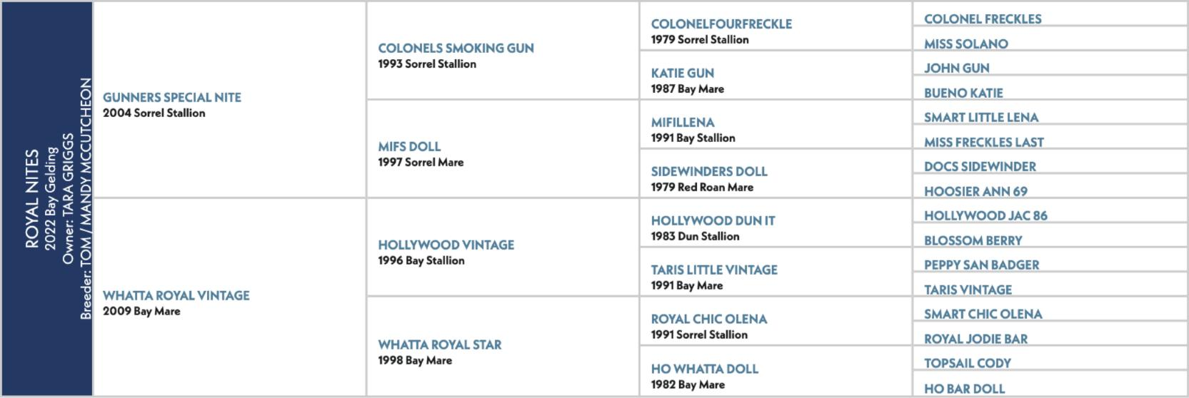 Pedigree chart for Royal Nites, a 2022 bay gelding by Gunners Special Nite out of Whatta Royal Vintage.
