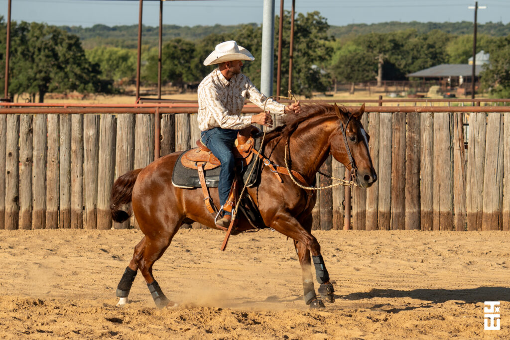 Cowboy in white hat riding brown horse in arena during ranch sorting competition