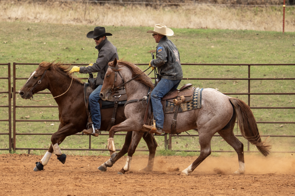 Two cowboys on horseback in a dirt arena demonstrate ranch sorting techniques during competition