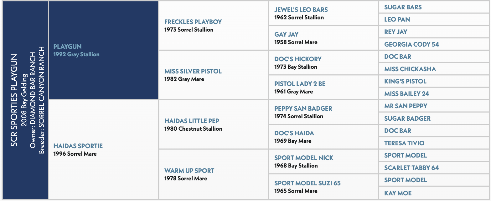 SCR Sporties Playgun pedigree chart listing registered horses and their bloodlines, organized by sire and dam information