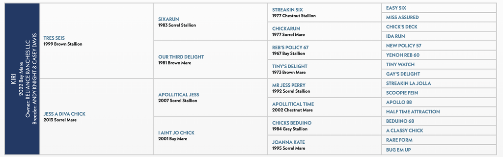 Pedigree chart showing thoroughbred horse bloodlines organized by sire and dam names with birth years and coat colors