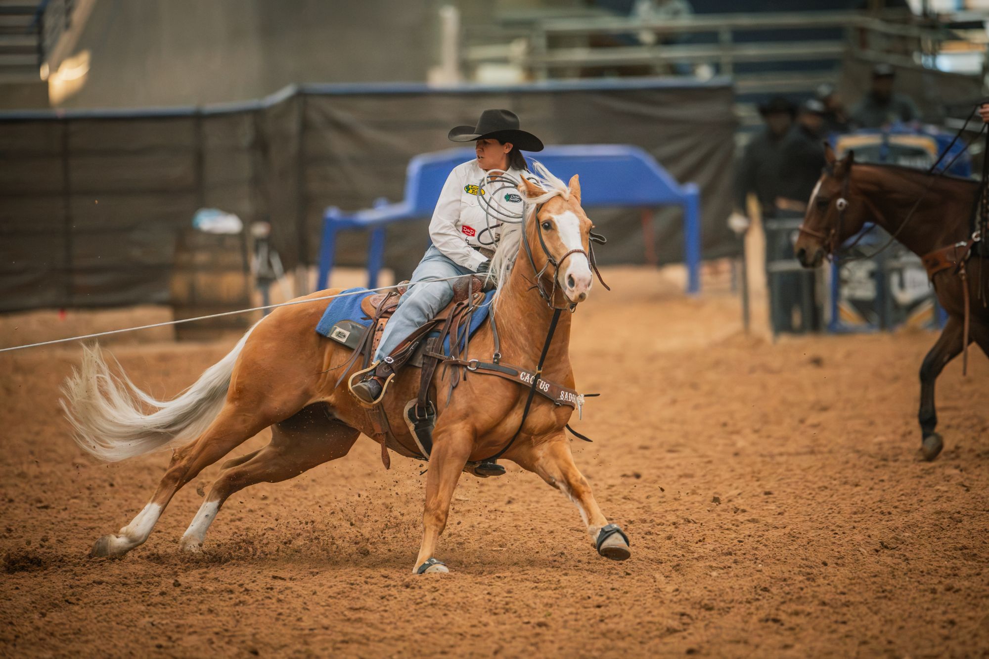 Brooke Wilson heads on Poco Bamacat at the Old West World Championships in Amarillo, Texas.