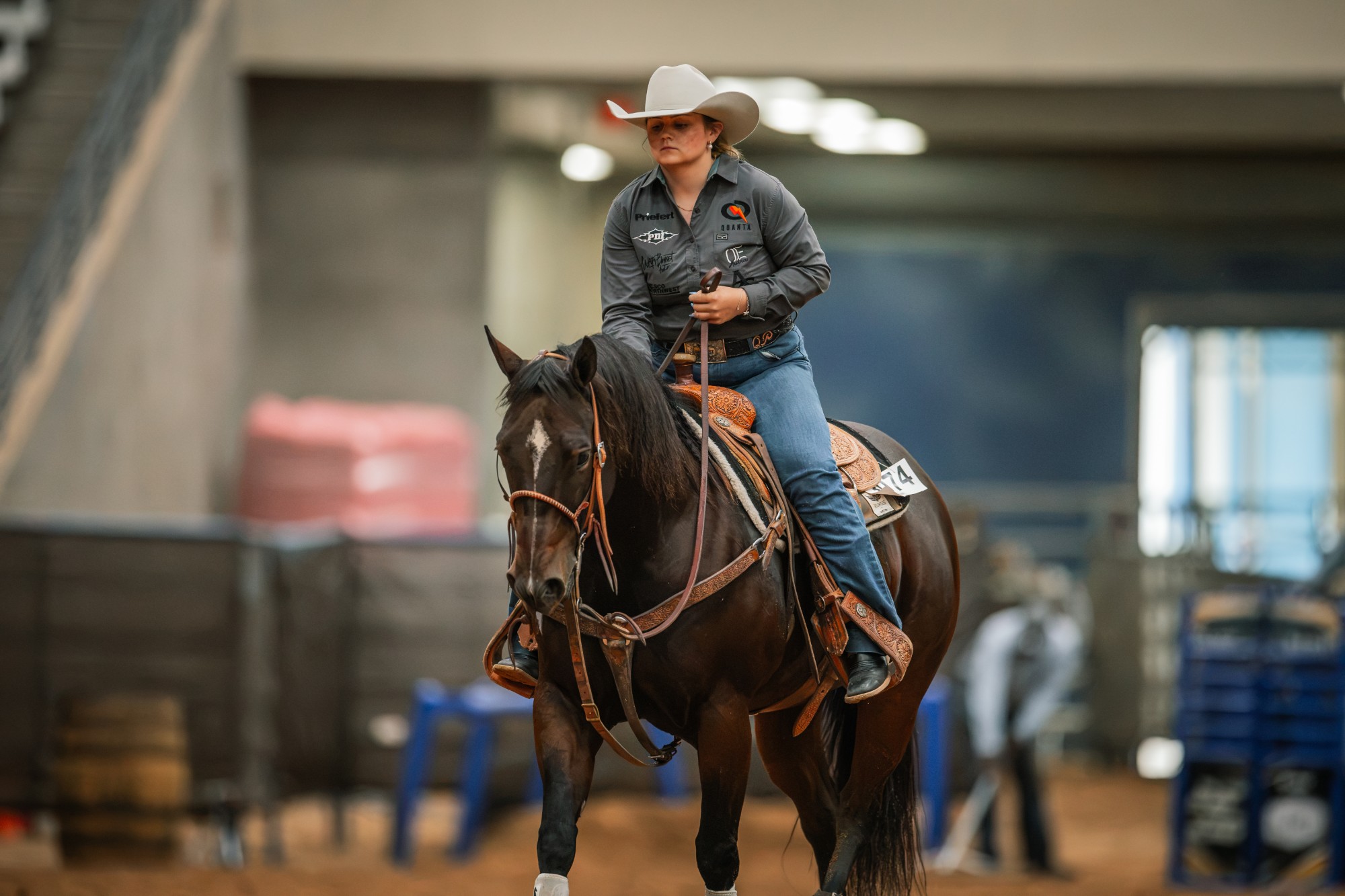 Quealy Probst walks Reyzin Royals across the arena at the Old West World Championships.