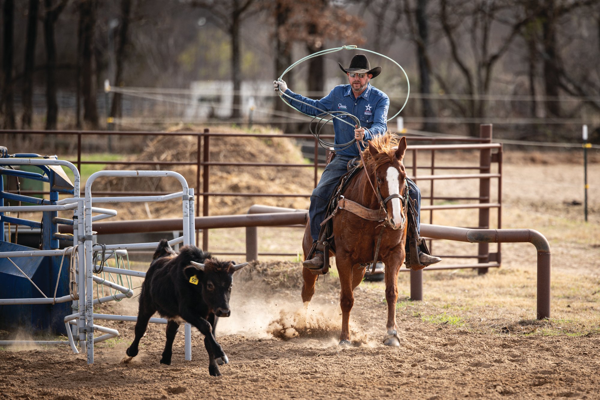 Logan Olson swinging his rope as a steer leaves the scoring lane