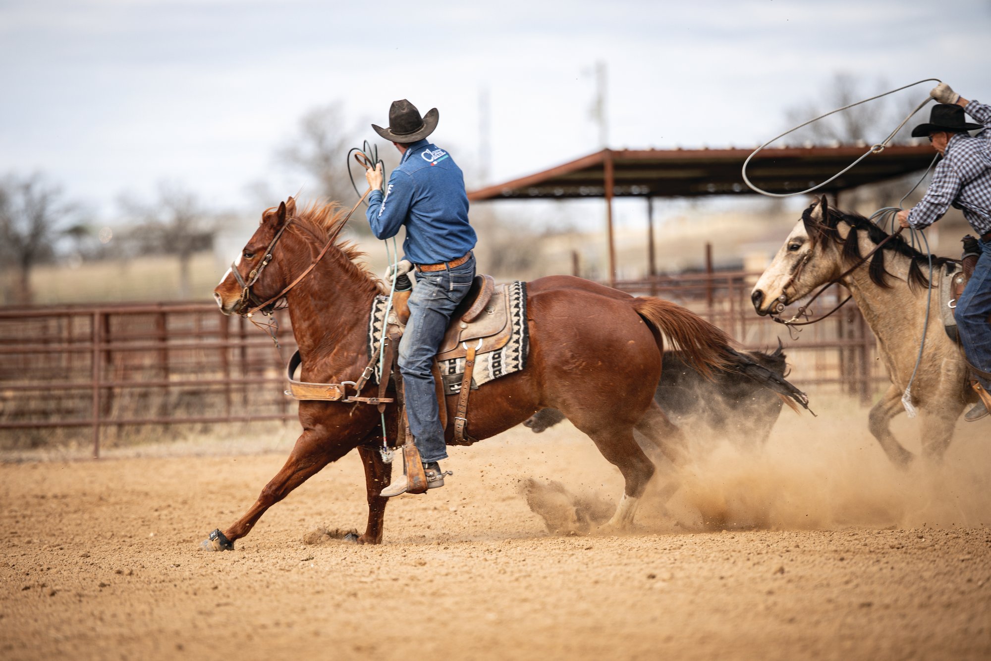 Logan Olson leaving the corner on a head horse with another roper alongside