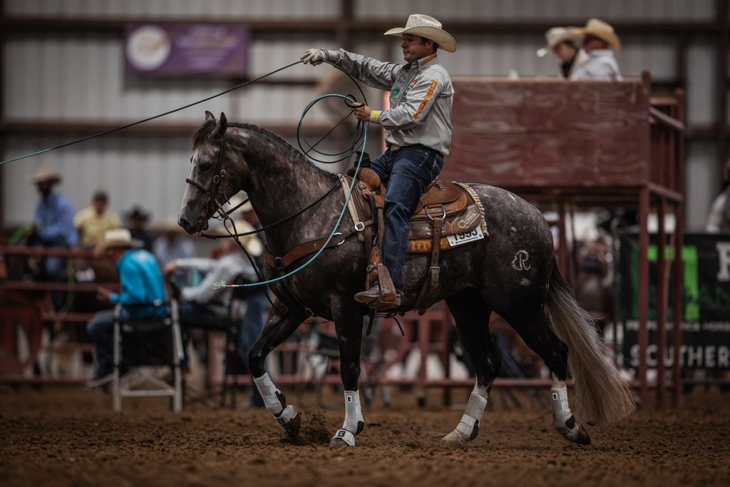 Cowboy on dark horse swinging a lasso at a rodeo arena with spectators in background