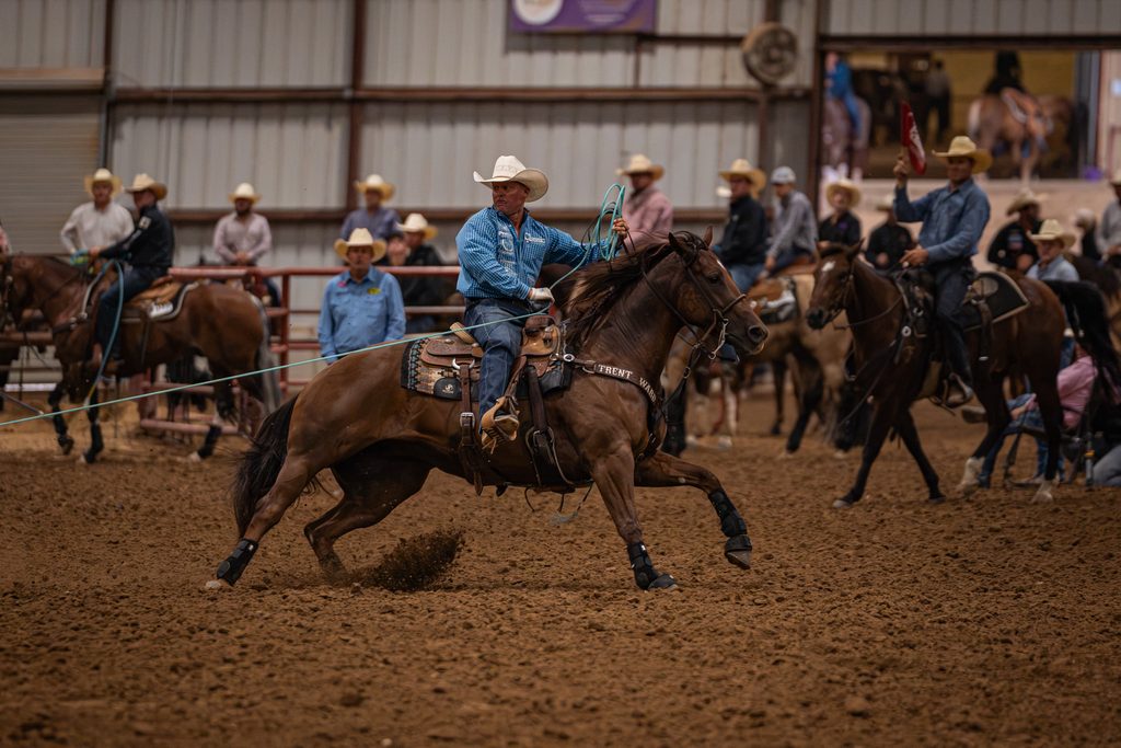 Cowboy on horseback roping cattle during a rodeo event in an indoor arena with spectators in the background