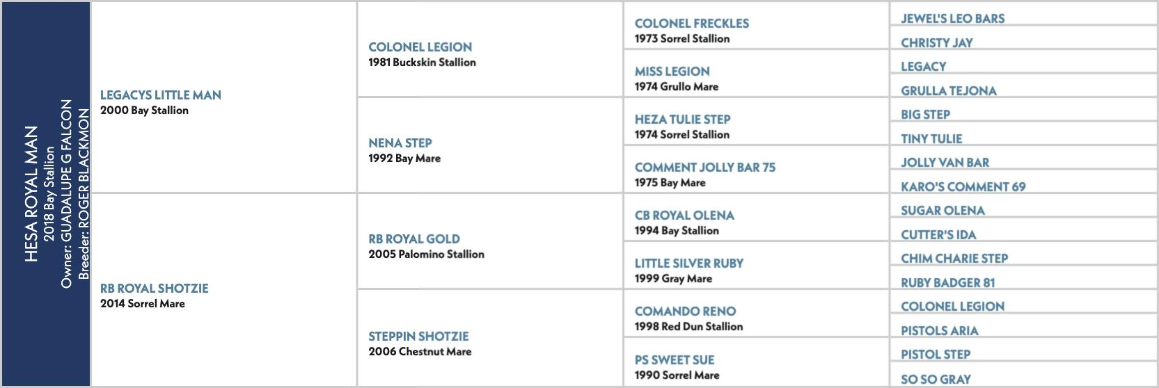Pedigree chart for Hesa Royal Man, a 2018 bay by Legacys Little Man out of RB Royal Shotzie.