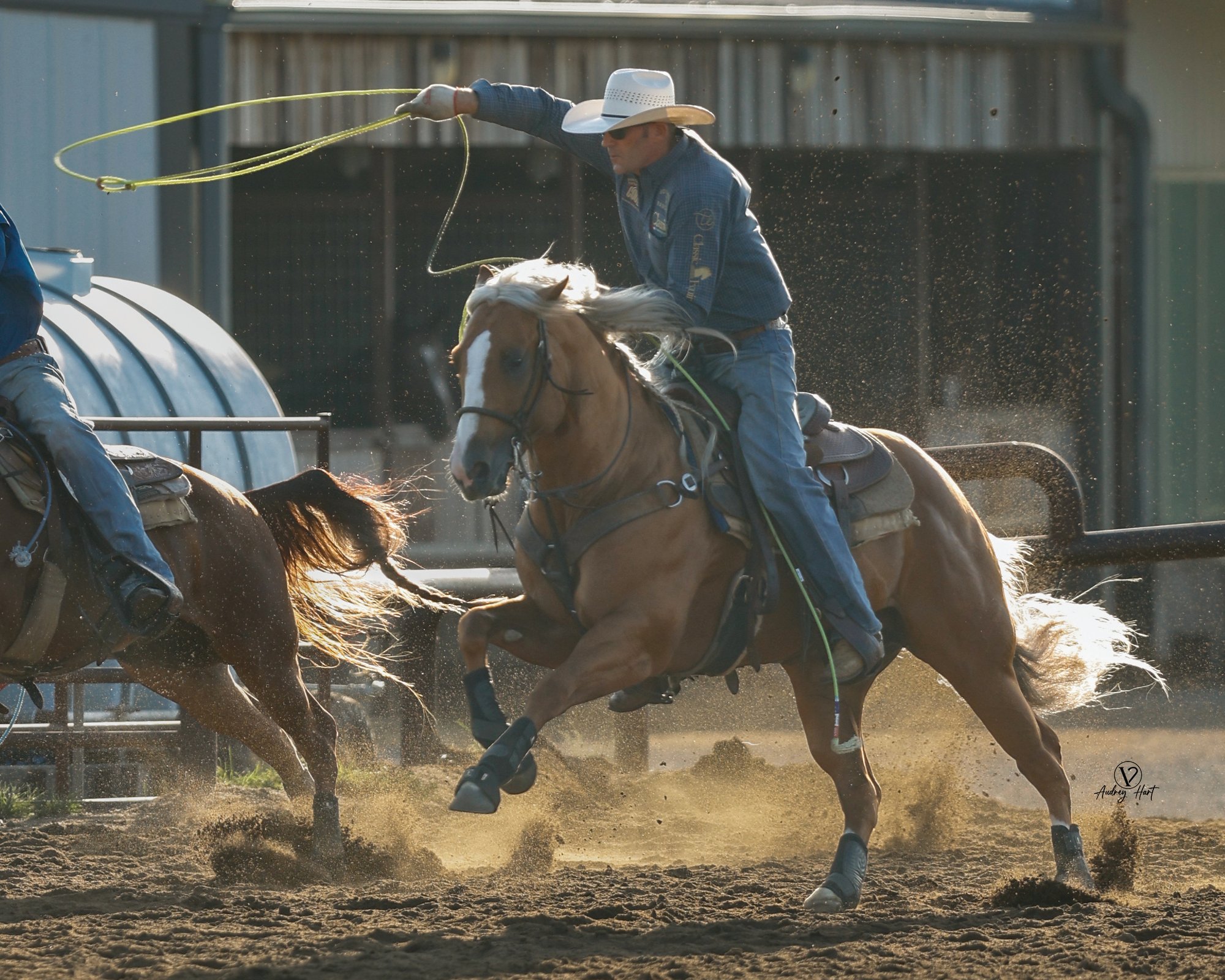 Rodeo competitor on horseback swings a lasso while riding through dust in an arena during a roping event