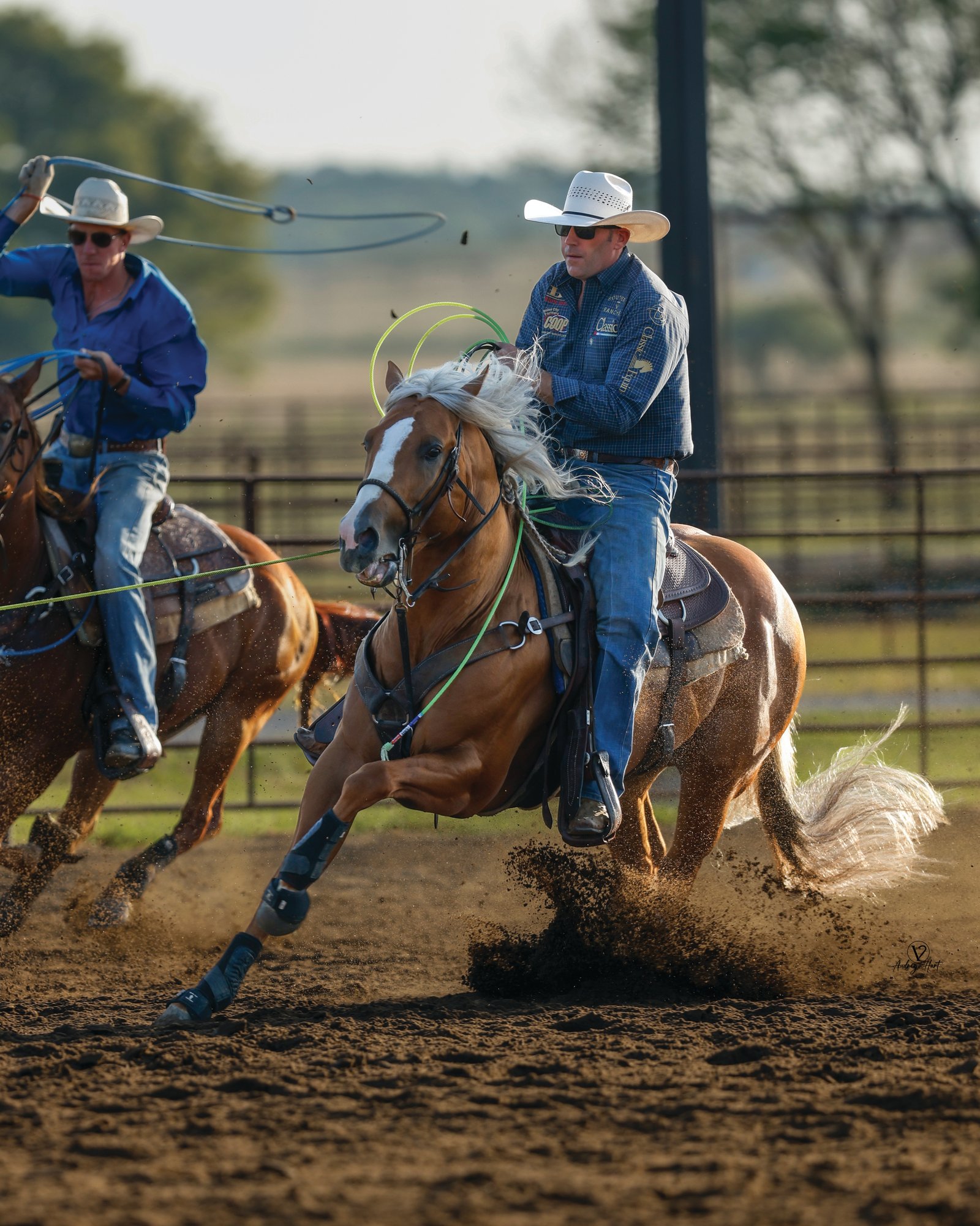 Rodeo competitor on brown horse with white blaze swings lasso while riding through dust in arena, with another cowboy nearby