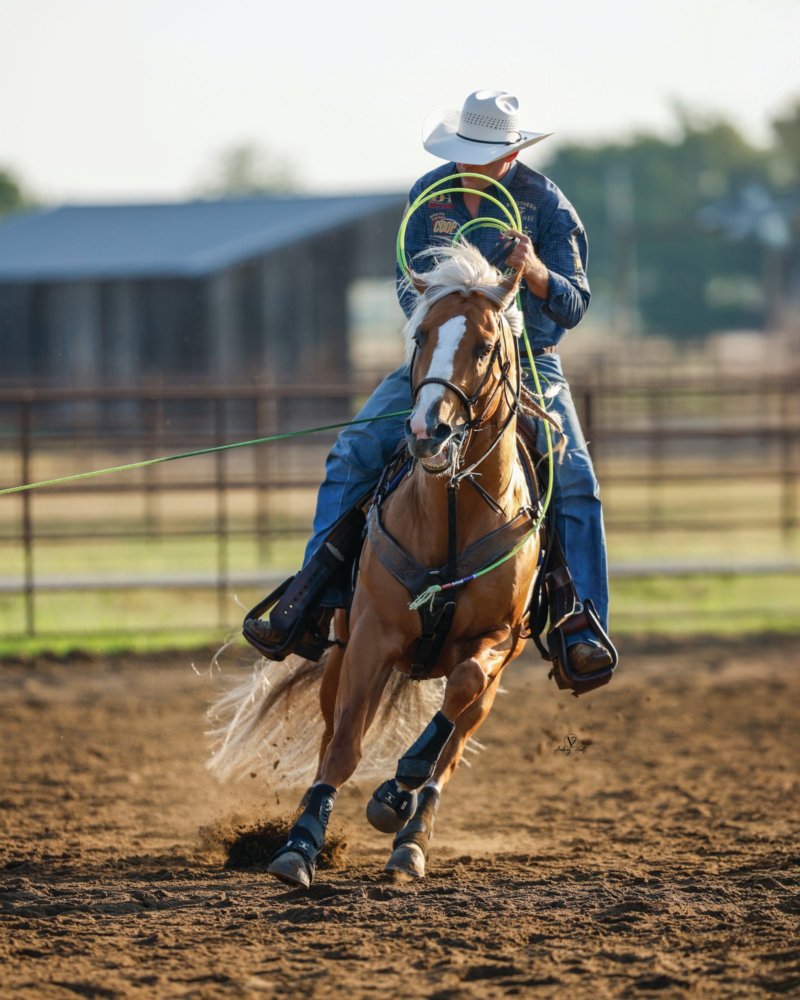 Cowboy on brown horse with white blaze performing rope trick during rodeo event in dusty arena with ranch buildings behind