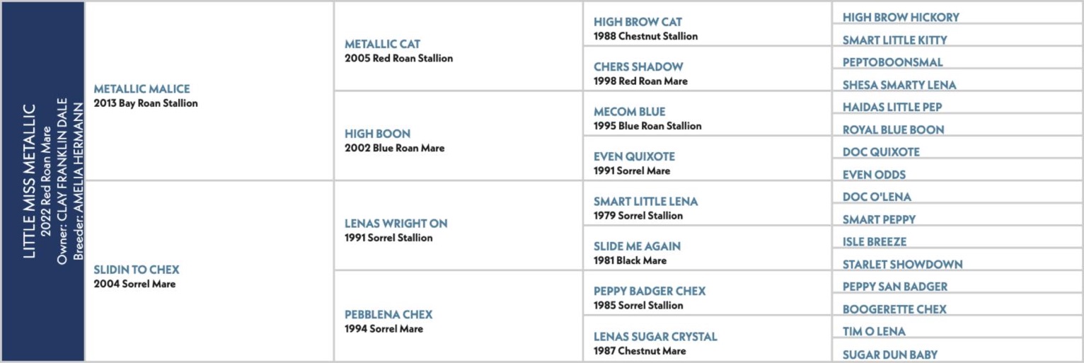 Pedigree chart for Little Miss Metallic, a 2022 red roan mare by Metallic Malice out of Slidin To Chex.