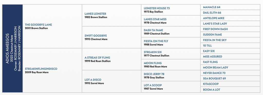 Pedigree chart for Adios Amegos horse showing bloodline ancestry across multiple generations with sire and dam names and years