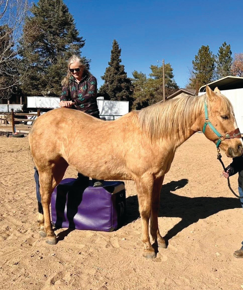 Wendy Gaddis working on a palomino horse